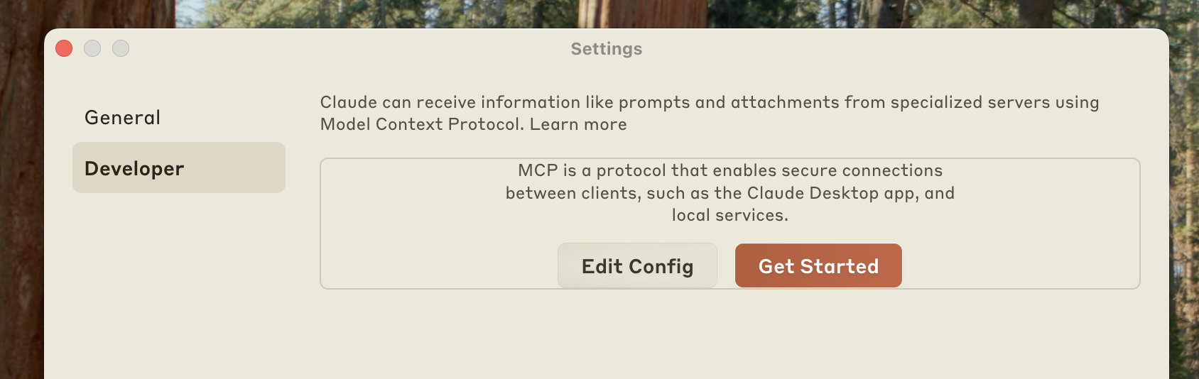 Developer settings for MCP — Source: MCP docs
